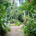 Nui Conteiner - Refugio Natural No Rio De Janeiro