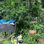 Nui Conteiner - Refugio Natural No Rio De Janeiro